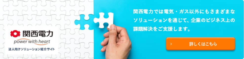 Kansai Electric Power